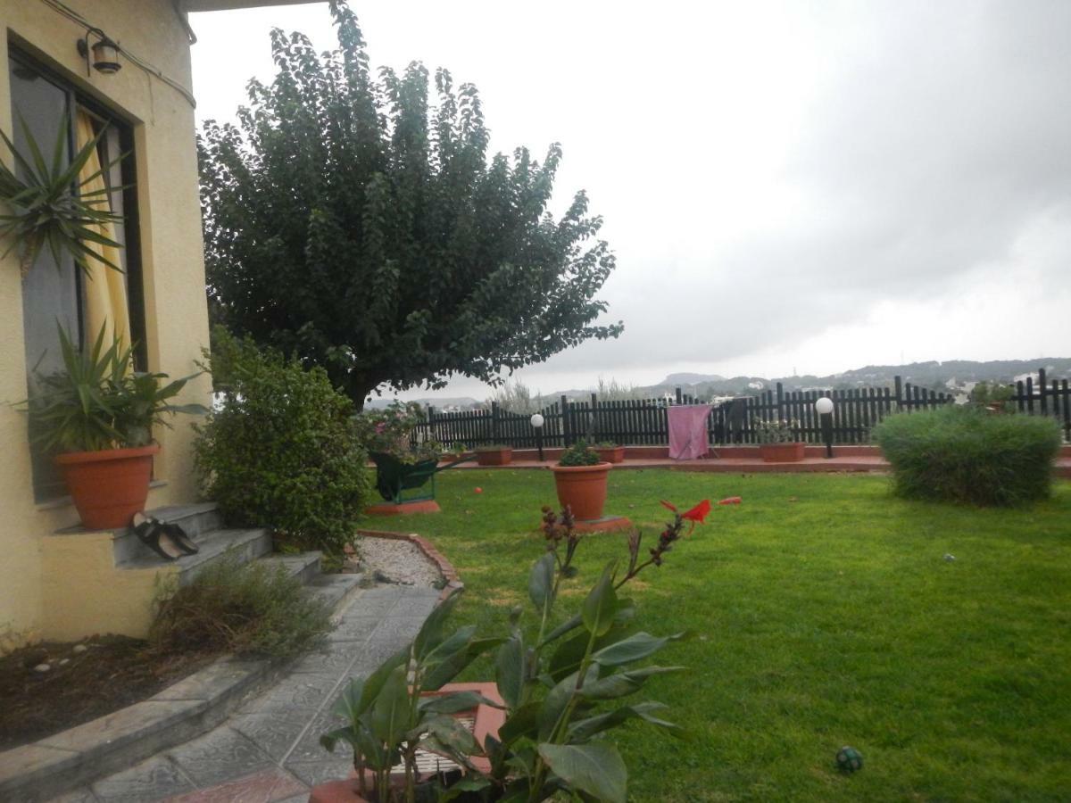 Garden *