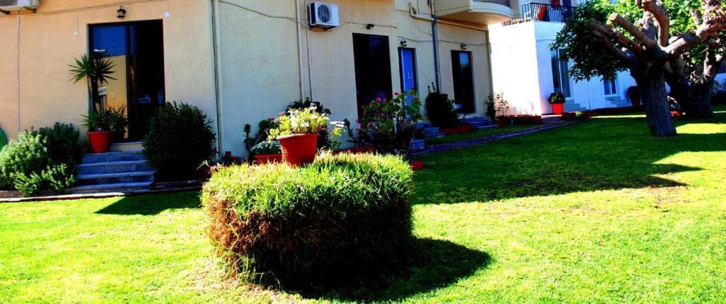 Apartment Garden